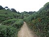0397.jpg 0397.jpg