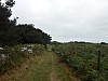 0419.jpg 0419.jpg