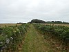 0423.jpg 0423.jpg