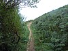 0428.jpg 0428.jpg