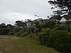 0470.jpg 0470.jpg