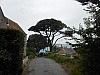 0476.jpg 0476.jpg
