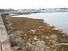 0589.jpg 0589.jpg
