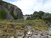8740.jpg 8740.jpg