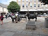 9530.jpg 9530.jpg