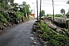 2865.jpg 2865.jpg