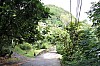2870.jpg 2870.jpg