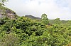 2911.jpg 2911.jpg