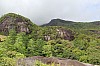 2919.jpg 2919.jpg