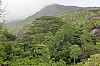 2934.jpg 2934.jpg