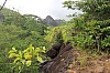2943.jpg 2943.jpg