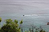 2950.jpg 2950.jpg