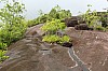 2954.jpg 2954.jpg