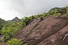 2956.jpg 2956.jpg