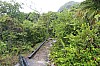 2967.jpg 2967.jpg