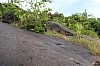 2973.jpg 2973.jpg