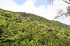 2974.jpg 2974.jpg