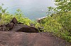 2983.jpg 2983.jpg