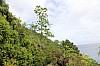 2984.jpg 2984.jpg