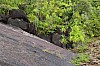 3005.jpg 3005.jpg