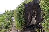 3010.jpg 3010.jpg