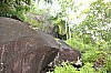3015.jpg 3015.jpg