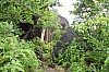 3017.jpg 3017.jpg