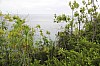 3031.jpg 3031.jpg