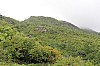 3060.jpg 3060.jpg
