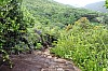 3067.jpg 3067.jpg