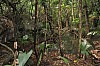 3074.jpg 3074.jpg