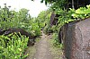 3137.jpg 3137.jpg