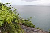 3139.jpg 3139.jpg