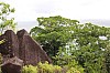 3145.jpg 3145.jpg