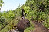 3150.jpg 3150.jpg