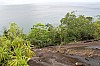 3153.jpg 3153.jpg