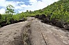 3155.jpg 3155.jpg