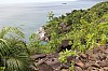 3157.jpg 3157.jpg