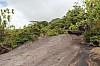 3160.jpg 3160.jpg
