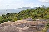 3161.jpg 3161.jpg