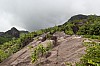3167.jpg 3167.jpg