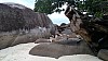 20170807_105312.jpg 20170807_105312.jpg