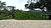 20170807_111948.jpg 20170807_111948.jpg