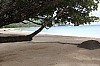 3195.jpg 3195.jpg