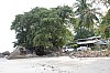 3219.jpg 3219.jpg
