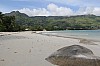 3223.jpg 3223.jpg