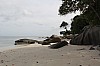 3235.jpg 3235.jpg
