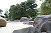 3237.jpg 3237.jpg