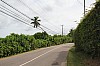 3270.jpg 3270.jpg
