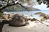 3273.jpg 3273.jpg